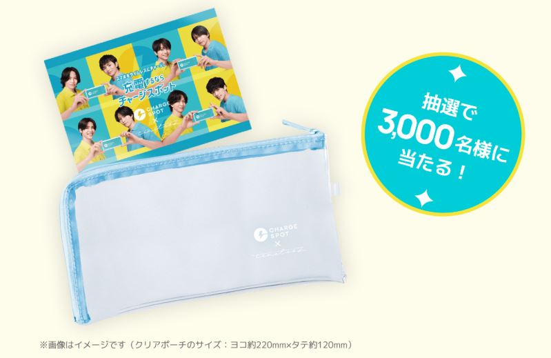 Pouch
